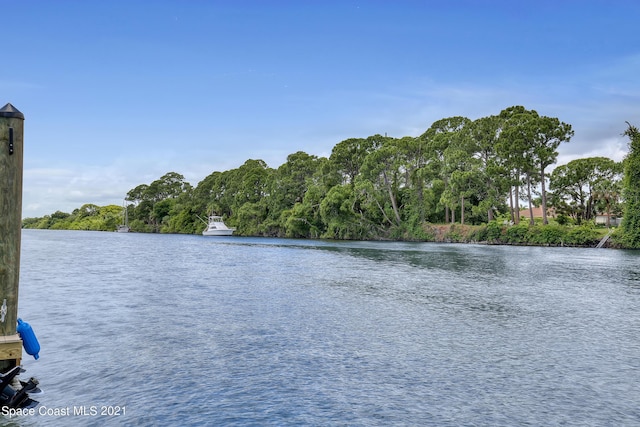 property view of water