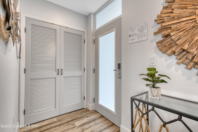 foyer featuring light hardwood / wood-style floors and a wealth of natural light