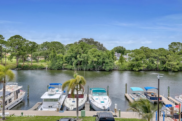 dock area with a water view