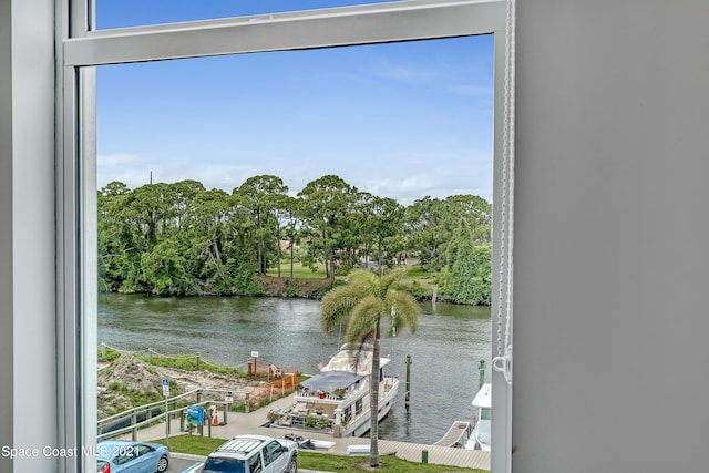 property view of water with a dock