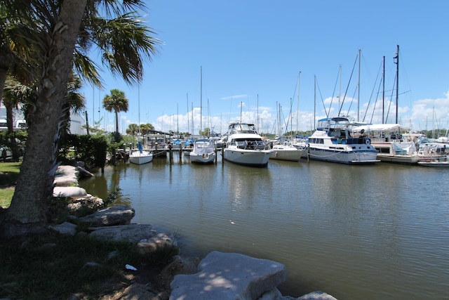 dock area with a water view