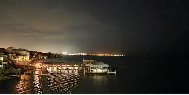 water view featuring a boat dock