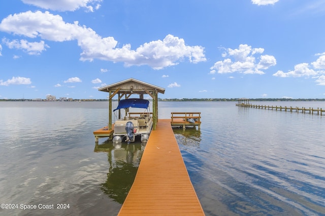 dock area with a water view