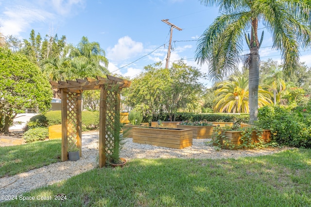 view of yard featuring a pergola