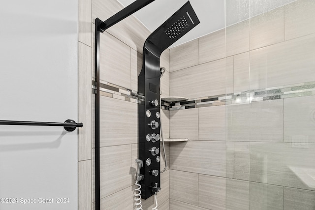 interior details with tiled shower