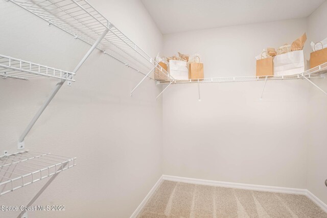 spacious closet with carpet