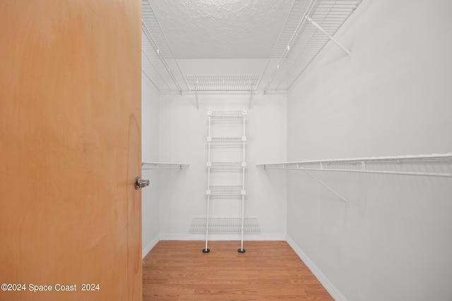 walk in closet with light wood-type flooring