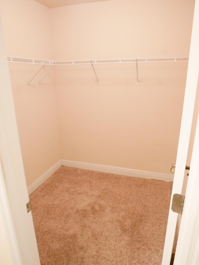 spacious closet with carpet floors