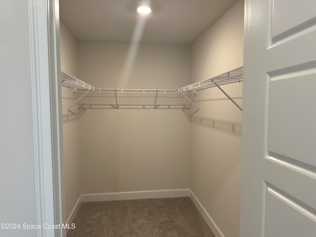 walk in closet featuring carpet