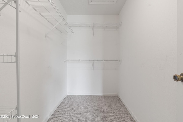 spacious closet featuring carpet flooring