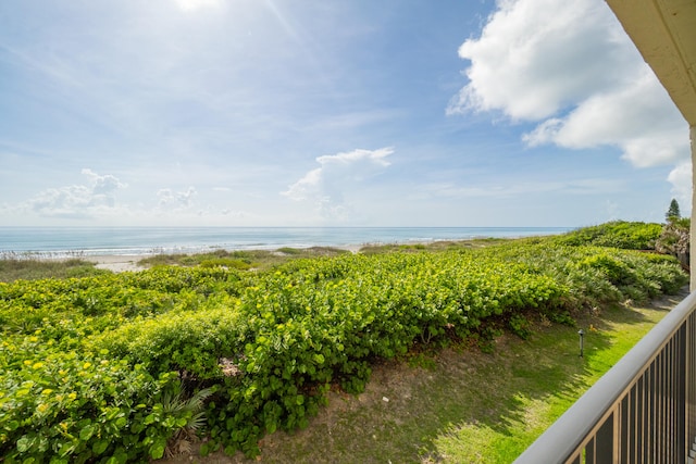 view of water feature featuring a view of the beach