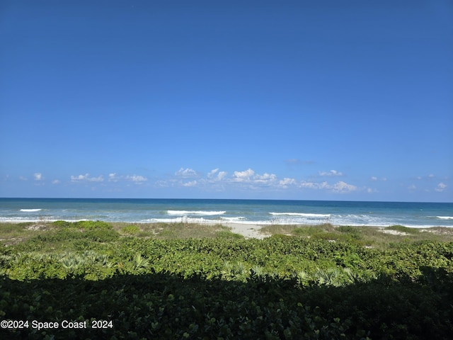 water view featuring a beach view