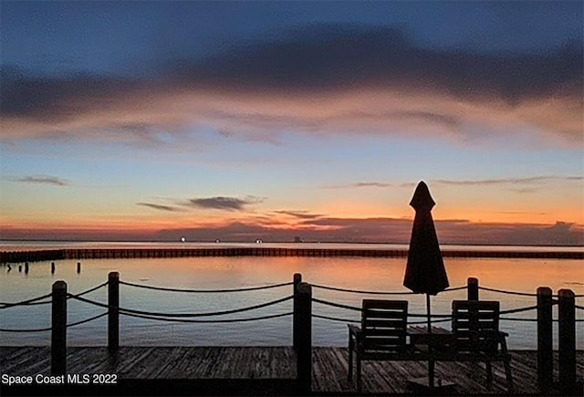 dock area with a water view