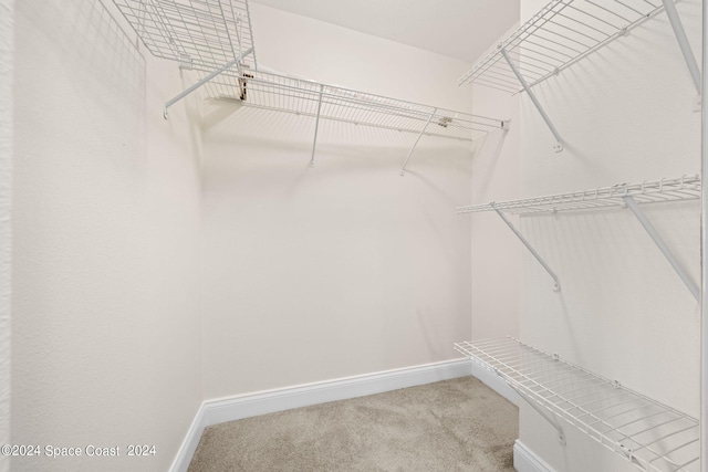 walk in closet featuring carpet floors