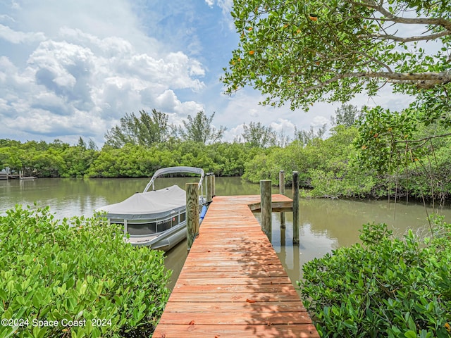 dock area featuring a water view