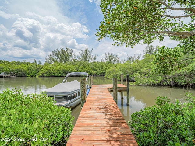 dock area with a water view