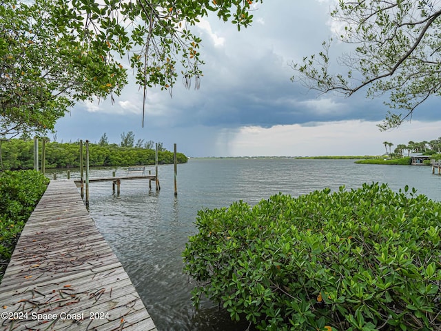 dock area with a water view