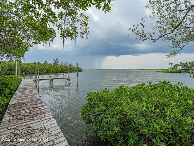 dock area featuring a water view