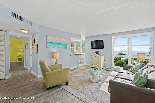 living room with a textured ceiling and wood-type flooring