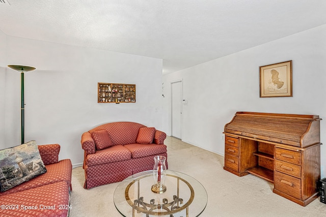 carpeted living room with a textured ceiling