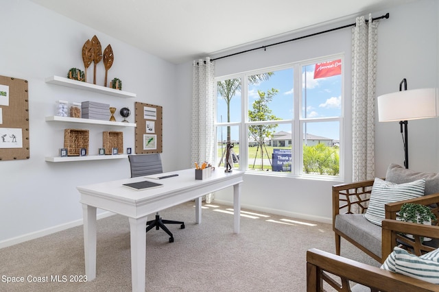 carpeted office space featuring a healthy amount of sunlight