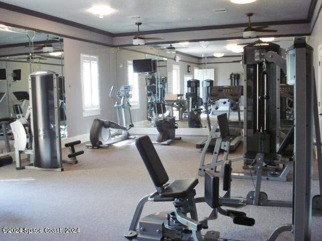 workout area with carpet flooring, crown molding, and ceiling fan