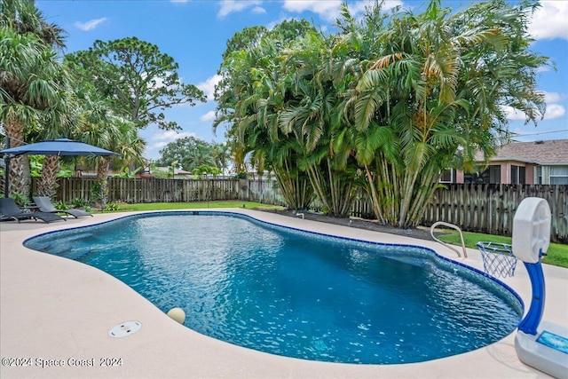 view of swimming pool featuring a patio area, a fenced backyard, and a fenced in pool