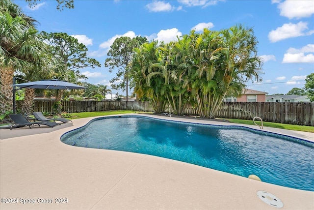 view of pool with a fenced backyard, a fenced in pool, and a patio