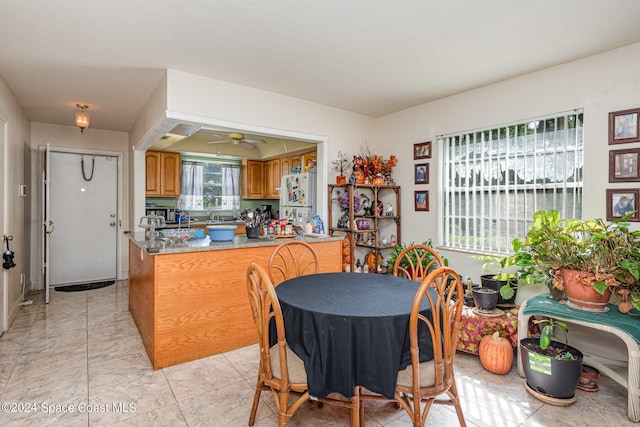 dining room with ceiling fan and plenty of natural light