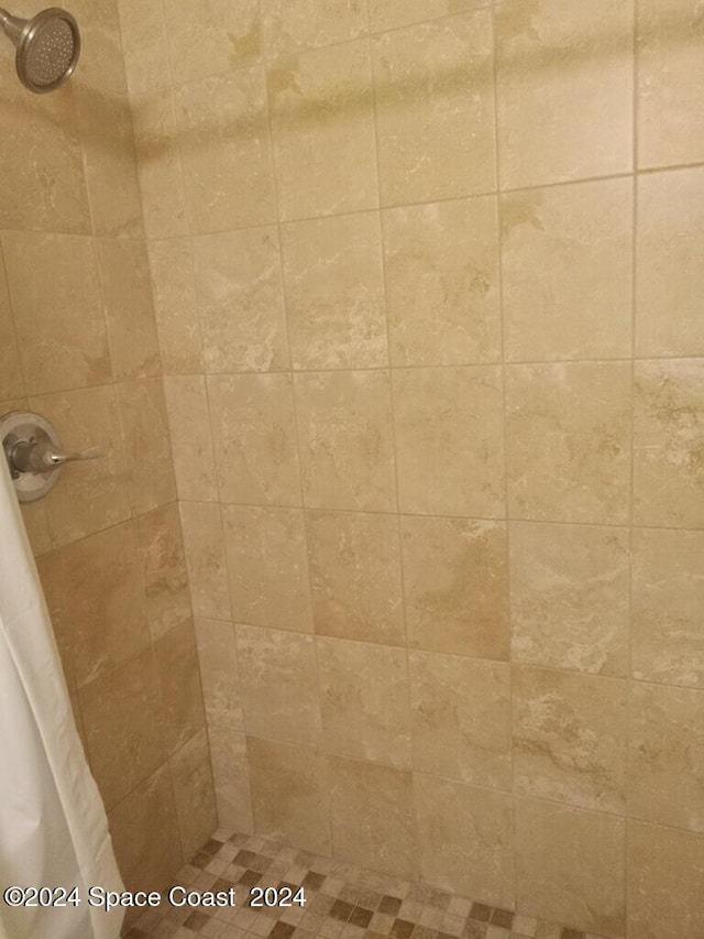 8600 Ridgewood Ave N Unit 1313, Cape Canaveral, FL 32920 - bathroom view of tiled shower
