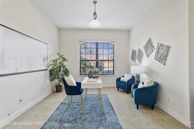 office area with carpet and baseboards