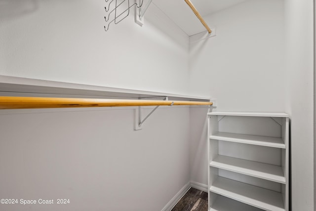 spacious closet with dark wood-style floors