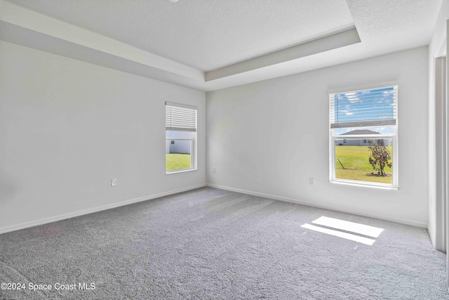 3480 Aramore Rd SE, Palm Bay, FL 32909 - spare room with a raised ceiling, carpet, a textured ceiling, and baseboards