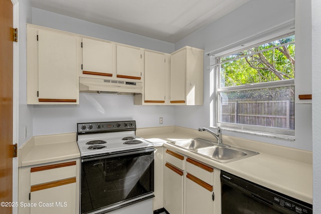 kitchen featuring sink, range with electric cooktop, and black dishwasher