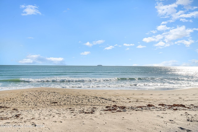 water view featuring a beach view