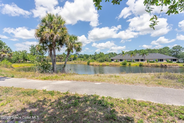 560 Remington Green Dr SE Unit 103, Palm Bay, FL 32909 - view of water feature