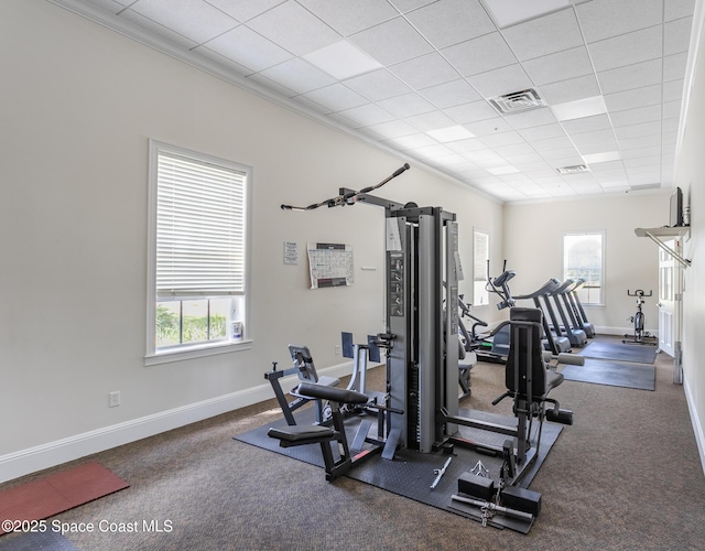 560 Remington Green Dr SE Unit 103, Palm Bay, FL 32909 - workout area featuring visible vents, a paneled ceiling, plenty of natural light, and carpet floors