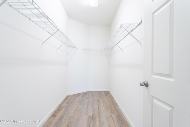 560 Remington Green Dr SE Unit 103, Palm Bay, FL 32909 - walk in closet featuring light wood-type flooring