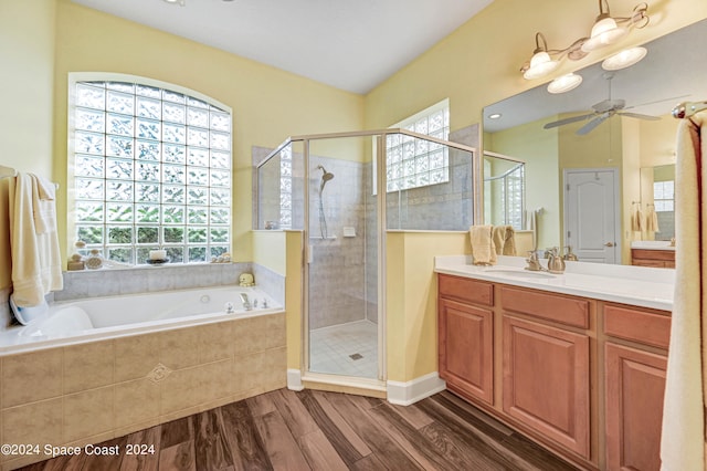 bathroom featuring hardwood / wood-style flooring, plus walk in shower, vanity, and a healthy amount of sunlight