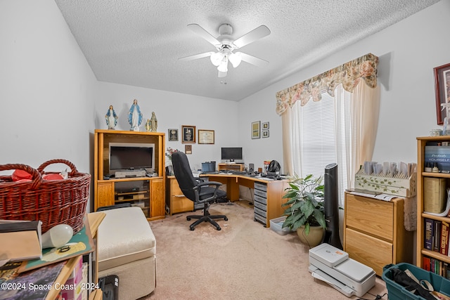 office space featuring a textured ceiling, carpet flooring, and ceiling fan