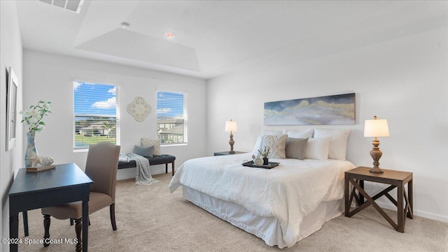 carpeted bedroom featuring a raised ceiling