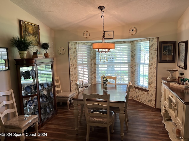 dining space with lofted ceiling, dark hardwood / wood-style floors, and a textured ceiling