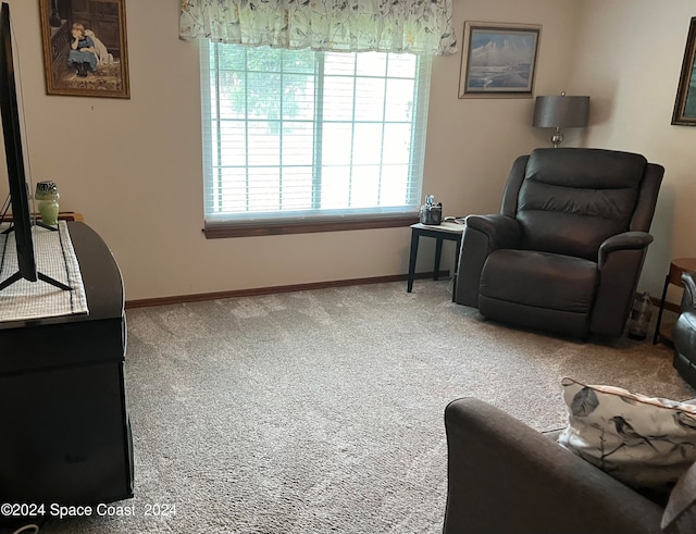 sitting room featuring carpet flooring