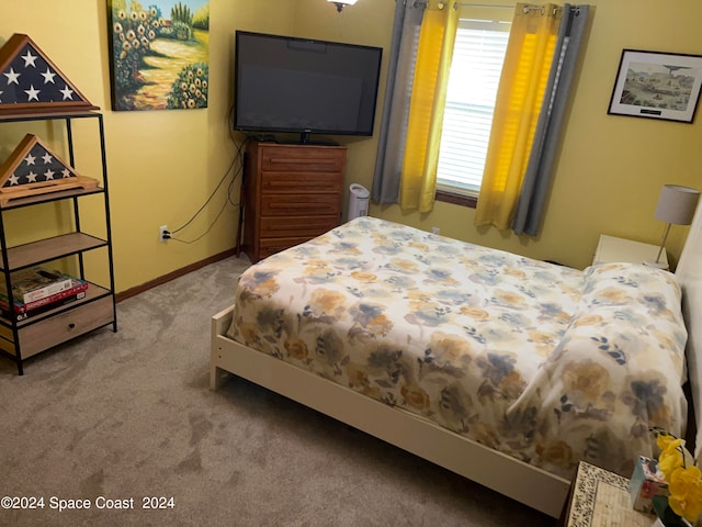 bedroom with carpet floors