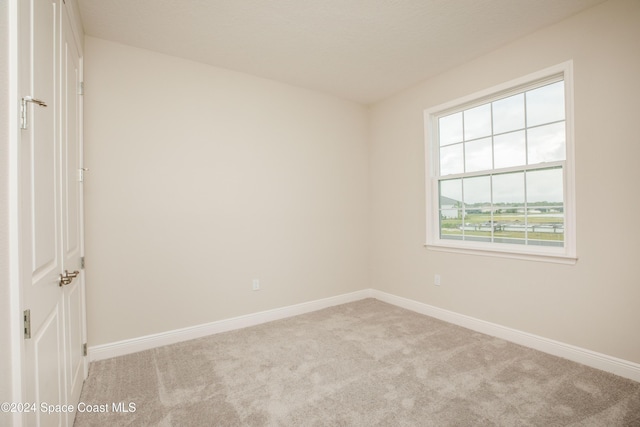 spare room featuring light carpet