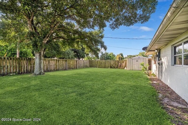 view of yard featuring a shed