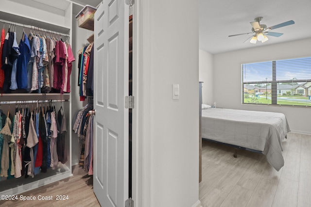 spacious closet with ceiling fan and light hardwood / wood-style flooring