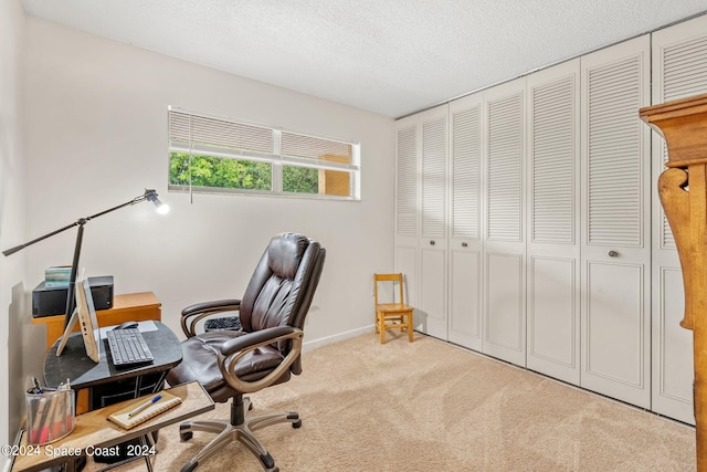 carpeted office with a textured ceiling