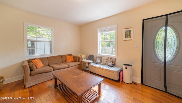 living room with light wood-type flooring