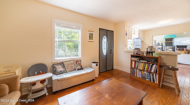 living room featuring hardwood / wood-style floors